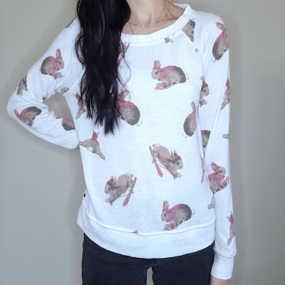 American Eagle Outfitters Sweaters - American Eagle Fuzzy Bunny Sweater